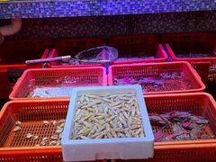 -巽寮印象美食部落餐厅·海鲜·地方特色菜(惠州体验店)