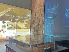 -中国西峡恐龙遗迹园