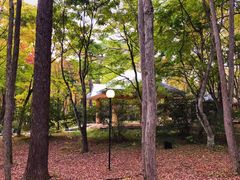 -轻井泽高原教堂