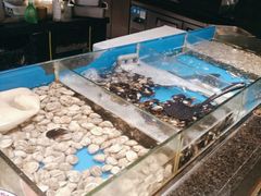 -钱小奴创意自助餐厅·原切谷饲安格斯畅吃(宁波奉化银泰店)