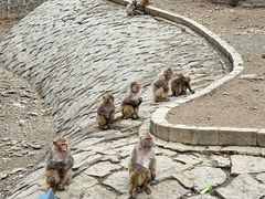 -哈尔滨北方森林动物园