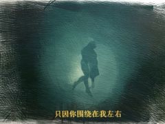 -百丽宫影城(CGS激光苏宁广场店)