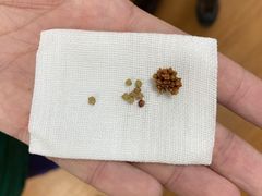 -北京观赏动物医院·24小时大型综合·猫专科·异宠专科