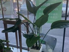 -自然之声助听器·呼吸机(康桥旗舰店)