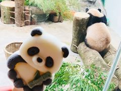 -杭州动物园