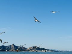 -海驴岛(荣成市)