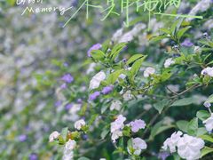 -广州珠江公园