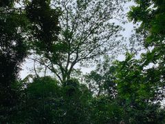 -华南国家植物园-售票处