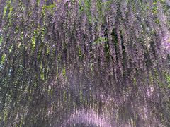 -常州淹城野生动物世界