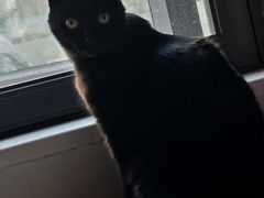 -郑远元专业修脚房·按摩·肉刺·灰指甲(建邺水西门店)