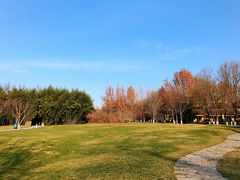 -春晖园度假酒店温泉