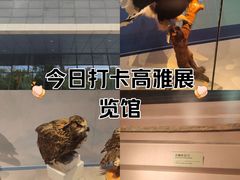 -台州博物馆