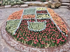 -南通洲际绿博园