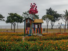 -野狸岛