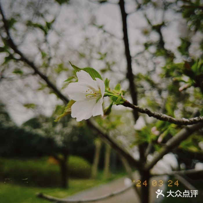 蠡湖大桥公园图片