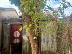 -艺术食堂(创意料理)