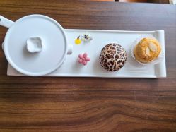 -馨月汇·一悦馨香月子中心(前滩店)