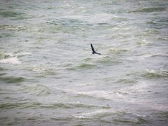 -黄河小浪底水利枢纽风景区