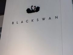 -BLACKSWAN黑天鹅(环球店)