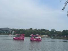 -上海长兴岛郊野公园