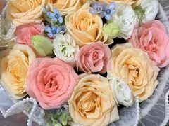 -味多美蛋糕(潘家园店)