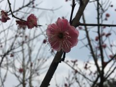 -常德桃花源景区