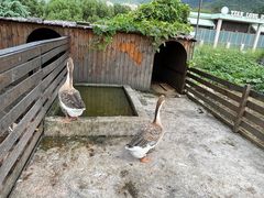 -宁波九龙湖开元度假村