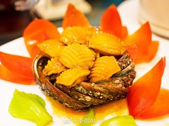 -御唐府海珊瑚主题餐厅