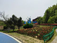 -宜兴龙背山森林公园