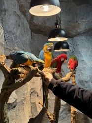 -Zoolung Zoolung动物主题公园(海信广场店)