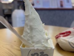 -野人先生Gelato(上海长宁龙之梦店)