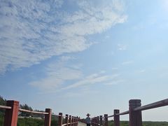 -北海金海湾红树林生态旅游区