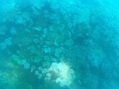 -亚龙湾海底世界