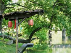 -西溪国家湿地公园