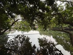 -荔湾湖公园