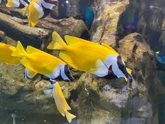 -欢乐海岸海洋奇梦馆