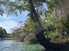 -九曲溪竹筏码头