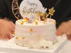 -维尔纳斯·生日蛋糕动物奶油冰淇淋蛋糕(人大店)