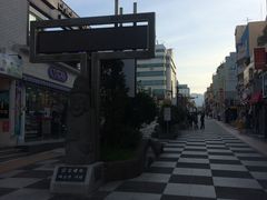 -宝健路步行街(Pedestrian Shopping Street)