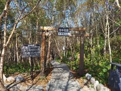 -白草畔自然风景区