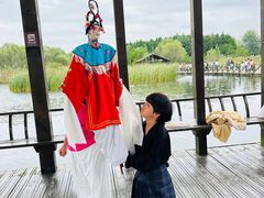 -溱湖国家湿地公园