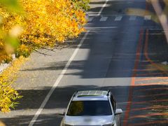 -大连市甘井子区体育场