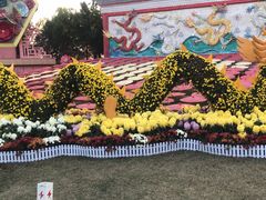 -武汉园博园(武汉自然博物馆)