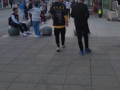 -奥体中心(地铁站)