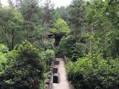 -梦姑塘文化公园