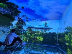 -深圳独角兽星空艺术馆