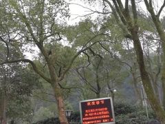 -韶山毛泽东同志故居