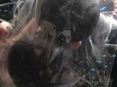 -风车面包
