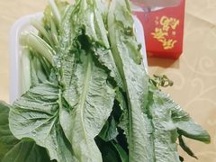 -麻奢鸽农庄·梦里水乡