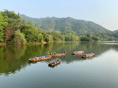 -深圳仙湖植物园
